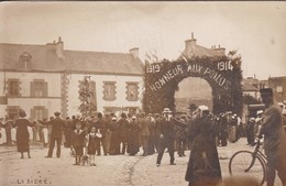 56 / QUESTAMBERT / RARE ET TRES BELLE CARTE PHOTO /  HONNEUR AUX POILUS / 1914.1919 / LA RIDEE / ARBRE DE LA VICTOIRE - Questembert