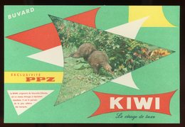 BUVARD:  CIRAGE KIWI - PPZ - FORMAT  12X18 Cm - Chaussures