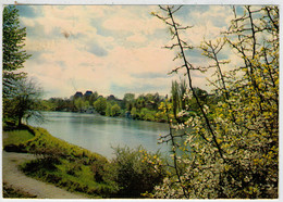 TORINO   UN  ANGOLO  ROMANTICO   AL  VALENTINO     (VIAGGIATA) - Parks & Gardens