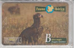 SPAIN 2001 FAUNA IBERICA BIRD BUITRE NEGRE VULTURE - Águilas & Aves De Presa