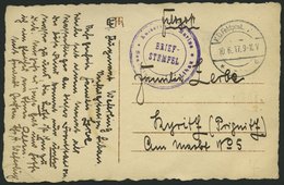 FELDPOST I.WK 1917, Feldpost-Ansichtskarte (Flieger Adolf Weferling) Mit Violettem Briefstempel KAISERLICHE MARINE - SEE - Occupation 1914-18