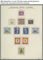 SAMMLUNGEN **, 1955-1989, Komplette Postfrische Sammlung Berlin Im Schaubek Album, Prachterhaltung - Autres & Non Classés