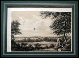 KOPENHAGEN: Aussicht Von Fortuna, Getönte Lithographie Von Kierschou/ Baerentzen 1856 - Litografía