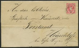 ÖSTERREICH 46 BRIEF, 1884, 5 Kr. Doppeladler Auf Brief Mit K1 Zerawitz Nach Neuschloß, Pracht - Gebraucht