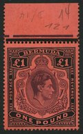 BERMUDA-INSELN 116a **, 1938, 1 £ Schwarz/purpur Auf Rot, Gezähnt 14 (SG 121), Postfrisch, Pracht - Bermudes