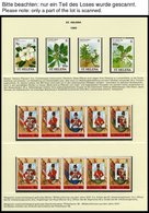 ST. HELENA 495-587 **, 1989-92, Komplett Mit Paralellausgaben Ascension Und Tristan De Cunha 1990, Fast Nur Auf Linder F - Sainte-Hélène