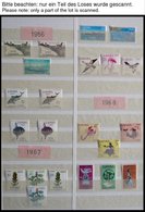 SLG. ÜBERSEE **, Postfrische Sammlung Spanische Kolonien Von 1961-75, Prachterhaltung - Autres & Non Classés
