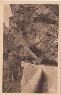 Cp , 48 , GORGES DU TARN , Les Rochers En Encorbellement Au Cirque Des Baumes - Gorges Du Tarn