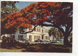 Ile De La Réunion : L'Hotel De Ville - Saint Pierre