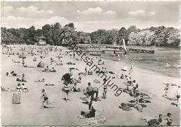 Berlin - Freibad Plötzensee - Foto-AK Grossformat - Verlag E. Wehner Berlin - Wedding