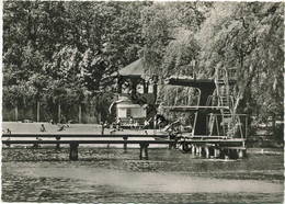 Berlin - Freibad Plötzensee - Foto-AK Grossformat - Verlag E. Wehner Berlin - Wedding