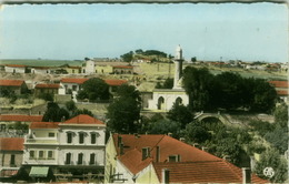 ALGERIA - TIARET - LA MOSQUEE / MOSQUE - ED. ALEXANDRE SIRECKY - 1950s (BG2517) - Tiaret