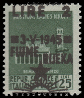 Occupazione Jugoslava: FIUME - Monumenti Distrutti Lire 2  Su 25 C. Verde (497) VARIETA' - 1945 - Occup. Iugoslava: Fiume