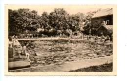 Delcampe - Brasschaat - Artillerieschool - Zwemkom - Brasschaat