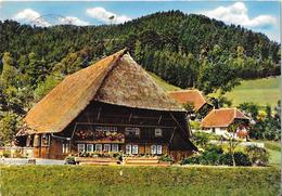 Schwarzwald - Schwarzwalder Bauernhaus - Hochschwarzwald