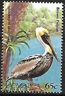 Dominica - 1995 - MNH -  Brown Pelican  -  Pelecanus Occidentalis - Pelícanos