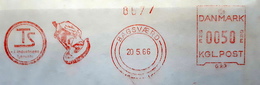 EMA AFS METER STAMP FREISTEMPEL - DANMARK BAGSæRD BAGSVAERD 1966 THOMAS SCHMIDT INDUSTRIES HOOK CRANE - Franking Machines (EMA)