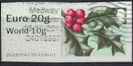 Royaume Uni 2014 Vignette Sur Fragment Holly Houx Winter Greenery Verdure D'Hiver SU - Post & Go Stamps