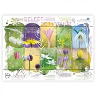 Nederland  2019 Natuur Nature   Bloemen  Flowers  Sheetlet Velletje       Postfris/mnh/neuf - Unused Stamps
