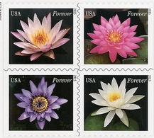 UNITED STATES (USA), 2015, Booklet 407, Water Lilies - 1981-...