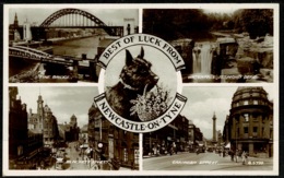 Ref 1276 - Real Photo Multiview Postcard - Scottie Dog At Newcastle-on-Tyne - Northumberland - Newcastle-upon-Tyne