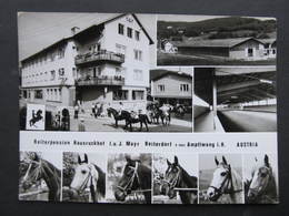 AK AMPFLWANG Im Hausruckwald B. Vöcklabruck Pferde Reiterpension ///  D*36708 - Vöcklabruck