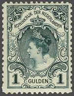 NL 1899 Numerals And Queen Wilhelmina - Other & Unclassified