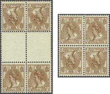 NL 1899 Numerals And Queen Wilhelmina - Altri & Non Classificati