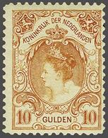 NL 1899 Numerals And Queen Wilhelmina - Autres & Non Classés