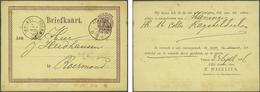 Netherlands Postal Stationery - Sonstige & Ohne Zuordnung