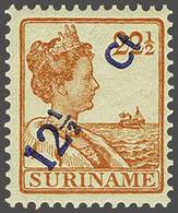Surinam - Otros & Sin Clasificación