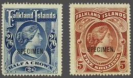 Falkland Islands - Other & Unclassified