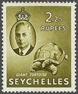 Seychelles - Andere & Zonder Classificatie