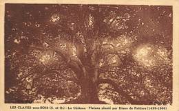 Delcampe - A-19-2440 :  TROGNE. TROGNES. ARBRE REMARQUABLE. LES CLAYES SOUS BOIS. PLATANE PLANTE PAR DIANE DE POITIERS. - Bäume