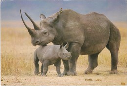 D1075 KENYA - BLACK RHINO AND BABY - RHINOCEROS NOIR ET SON BEBE - Rhinoceros