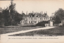 Rare Cpa Le Bois Corbeau Près De Montaigu Le Château De M.de Villebois-Mareuil - Montaigu