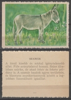 Donkey / Hungary 1960's Offset PRESS - Poster LABEL CINDERELLA VIGNETTE - Donkeys