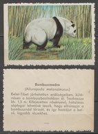 Giant Panda / Hungary 1960's Offset PRESS - Poster LABEL CINDERELLA VIGNETTE - Bears