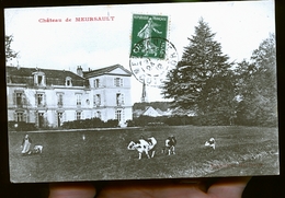 MEURSAULT LE CHATEAU - Meursault