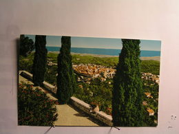 Delcampe - Vence La Jolie - Vue Générale - Vence