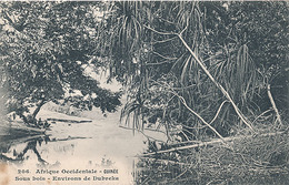 AFRIQUE OCCIDENTAL - GUINEE  - N° 206 - SOUS BOIS - ENVIRONS DE DUBREKA - French Guinea