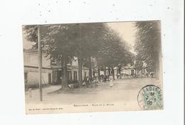 GRADIGNAN (GIRONDE) 3710 PLACE DE LA MAIRIE (CHEVAUX ET ANIMATION) 1905 - Gradignan