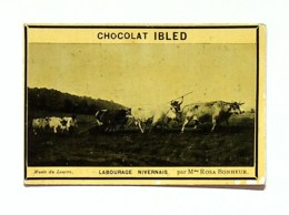 Chocolate Trading Card / Chromo - Chocolat Ibled - Art - Labourage Nivernais - Rosa Bonheur - Ibled