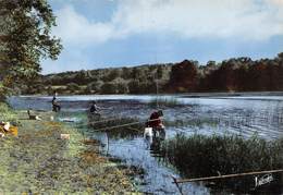 Saint-Sauveur-en-Puisaye - Chevaliers De La Gaule à L'étang De Moutiers - Pêche à La Ligne - Saint Sauveur En Puisaye