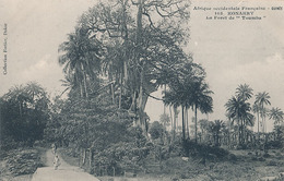 KONAKRY - N° 165 - LA FORET DE TOUMBA - French Guinea