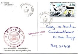 TAAF. N°150 De 1990 Sur Carte Postale. Albatros. - Albatros