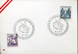 42897 Austria, Special Postmark 1973 Showing A Painting Of Albrecht Durer, Hare Hase , Lievre - Otros
