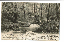 CPA - Carte Postale - Luxembourg - Muellerthal - Le Hallerbach -1903-VM695 - Muellerthal