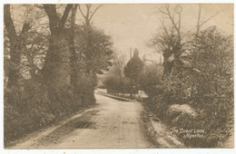 The Brent Lane, Alperton - Middlesex