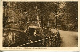 006287  Bad Lippspringe - Waldpartie Bei Der Fischerhütte  1924 - Bad Lippspringe